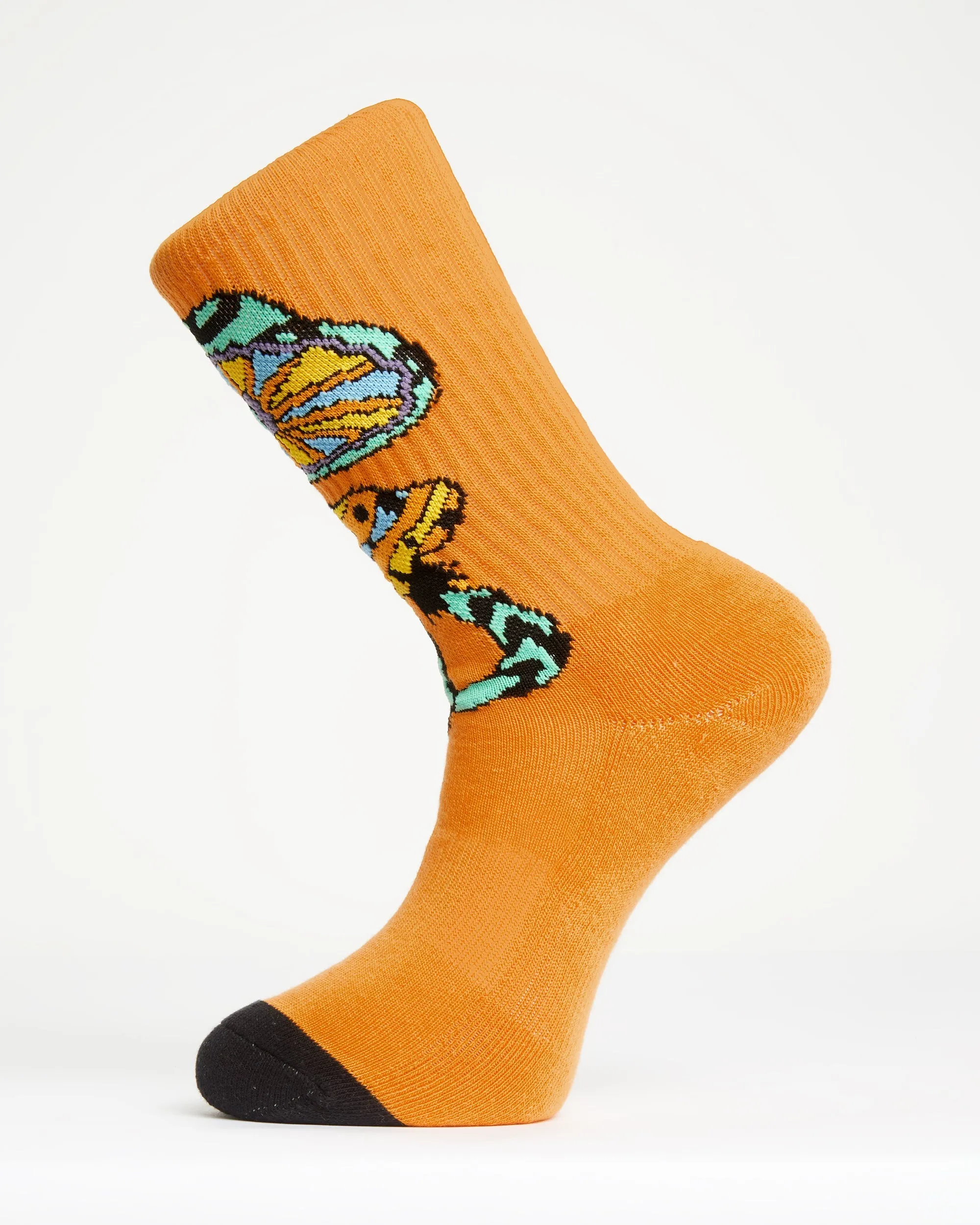 Bob Mollema Socks (4 Pack) - MINT