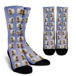 Havanese Socks
