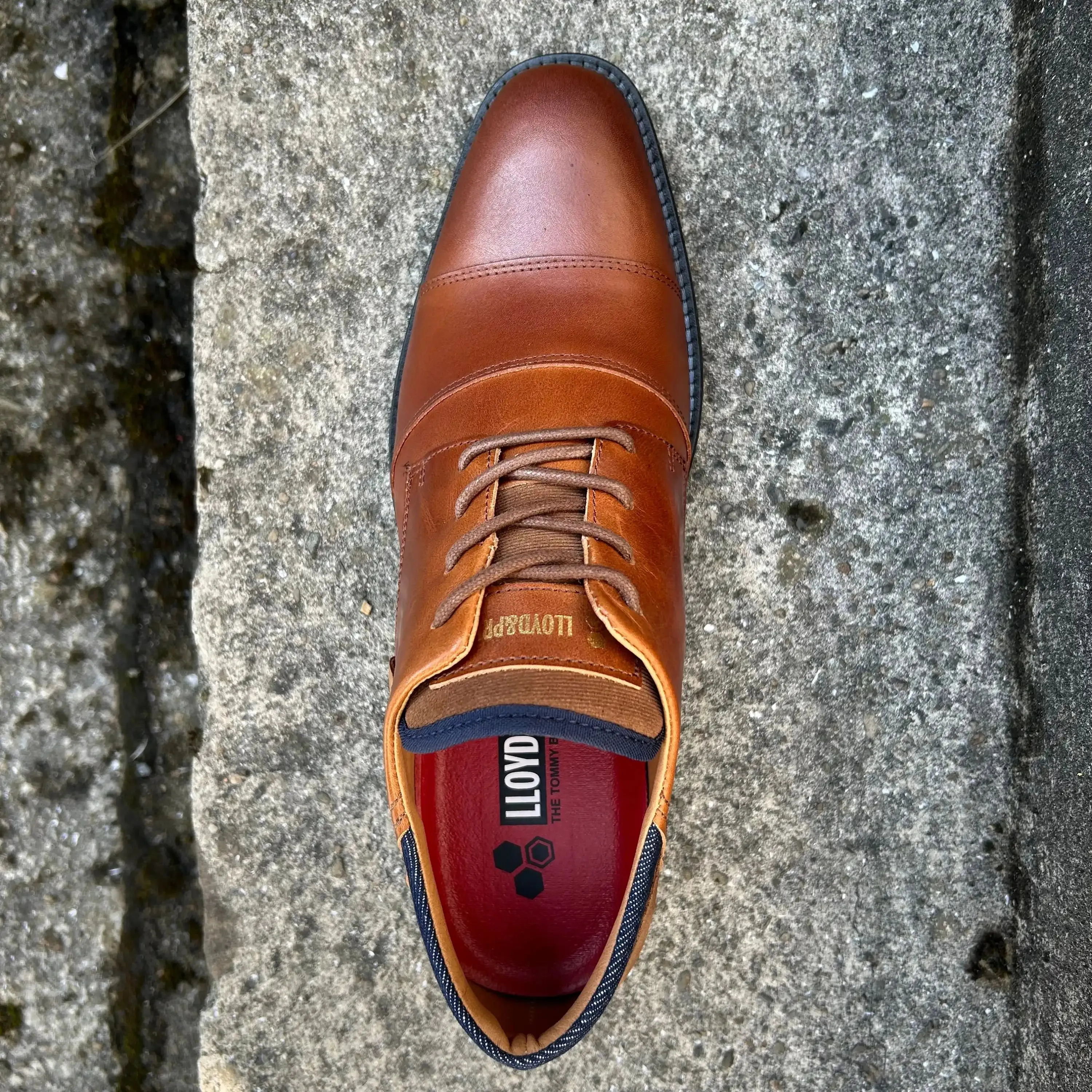 Lloyd & Pryce Mens Bazan Umber Tan Leather Shoes