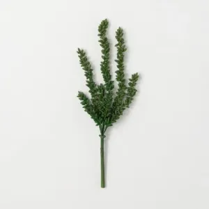 Moya Succulent Stems - Set of 2