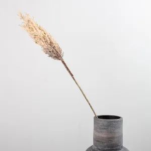 Pampas Grass Stem Light Brown