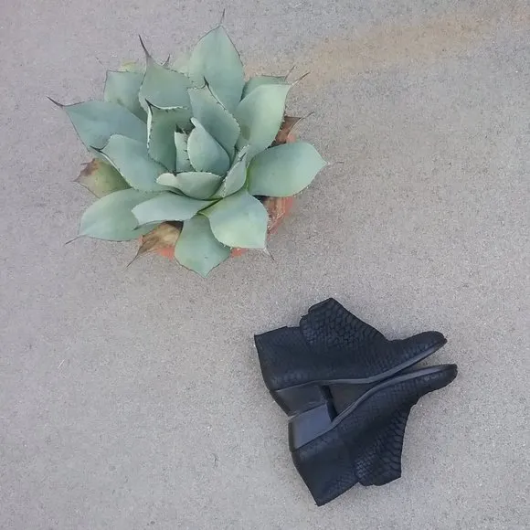 Sam Edelman Black Snake Embossed Petty Booties Size 6