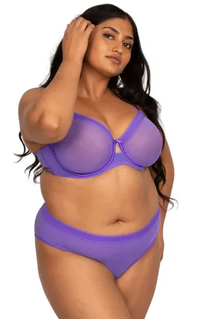 Sheer Mesh High Cut Brief - Violet